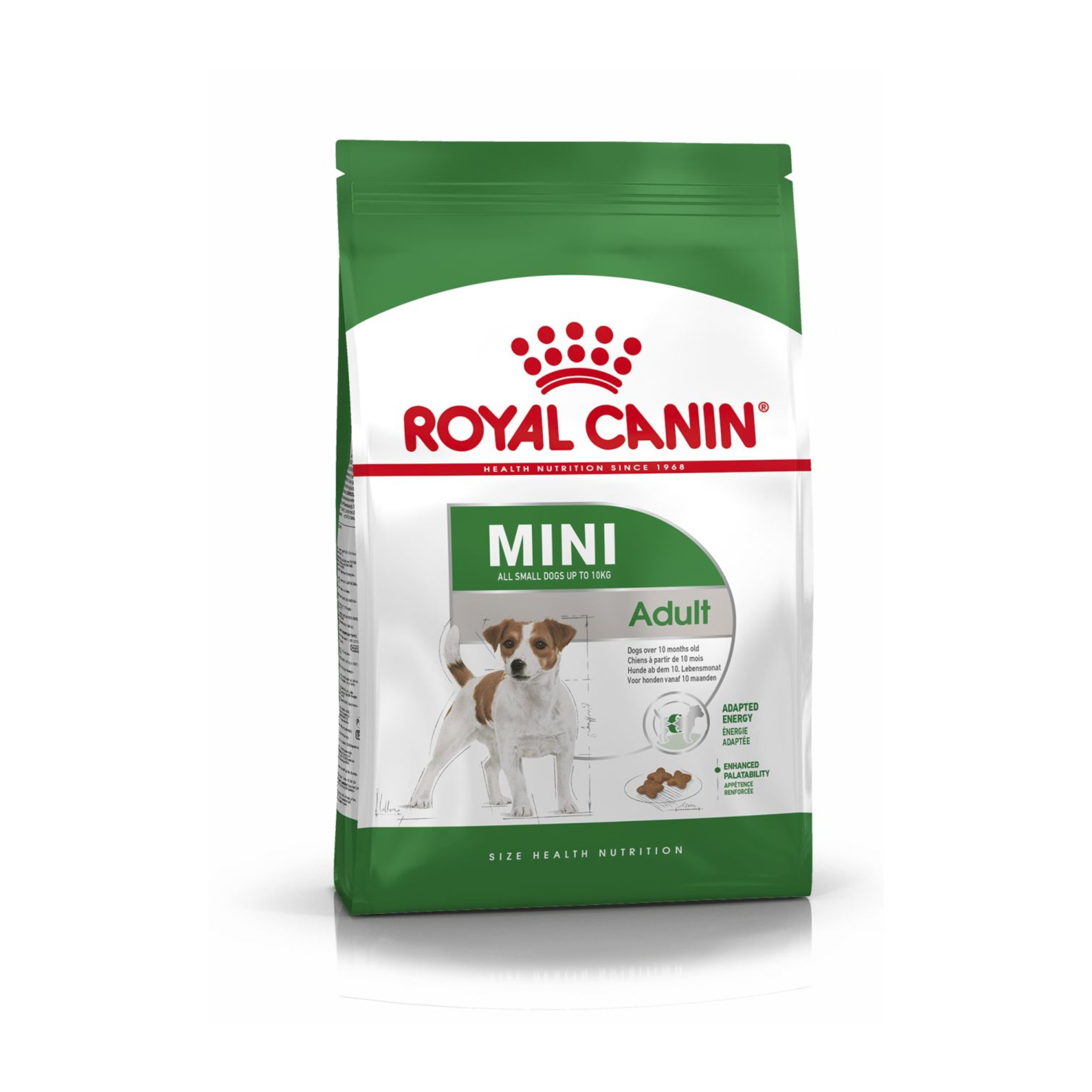 רויאל קנין מיני אדולט לכלב Royal Canin mini-adult