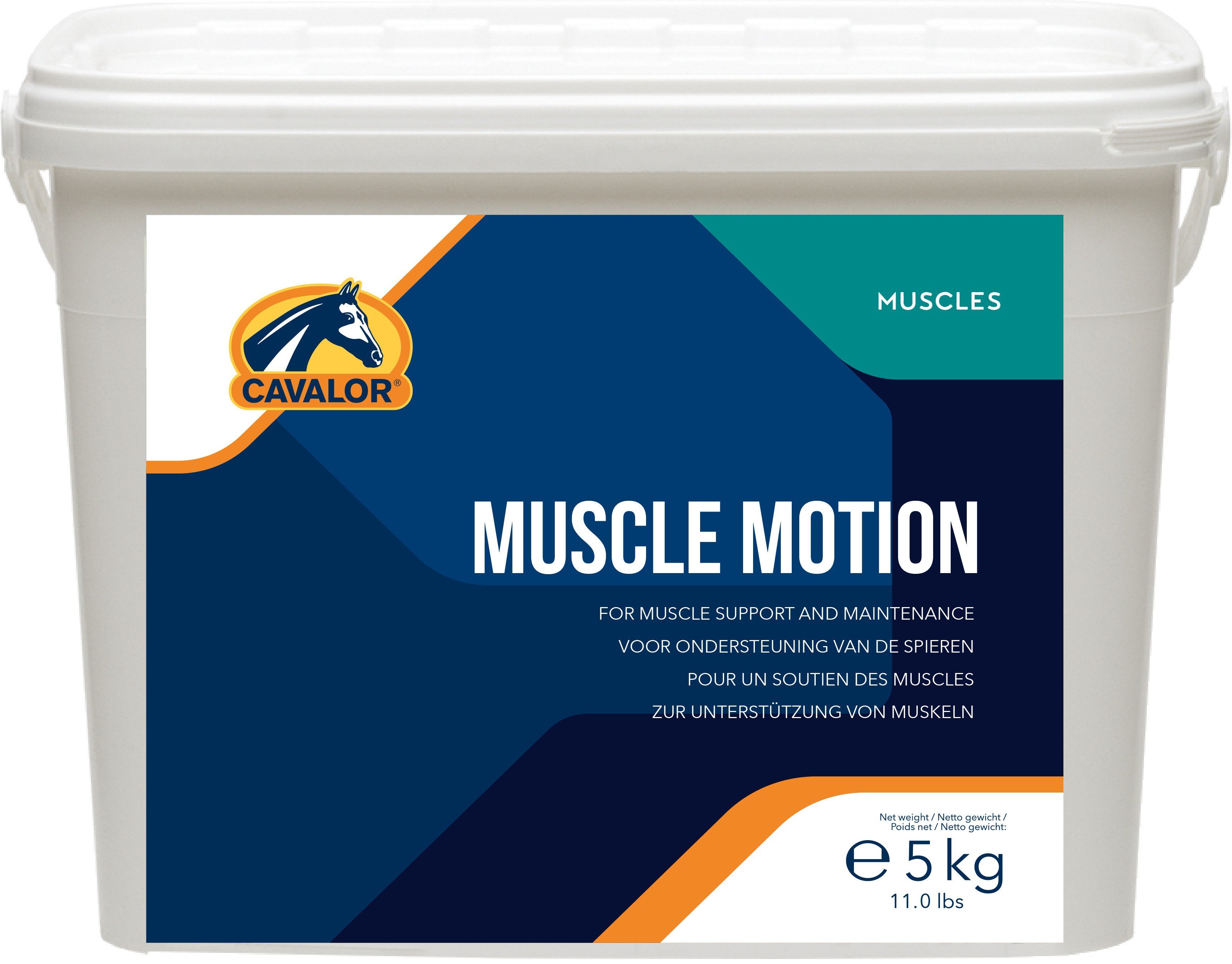 מאסל מושן - Muscle motion