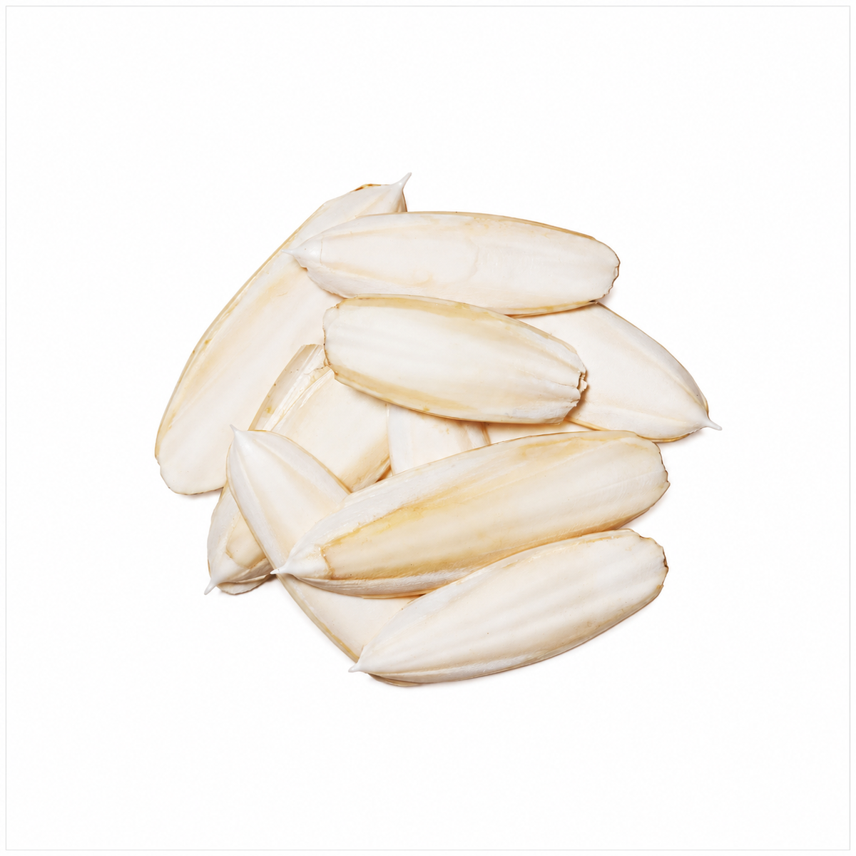 סבידה