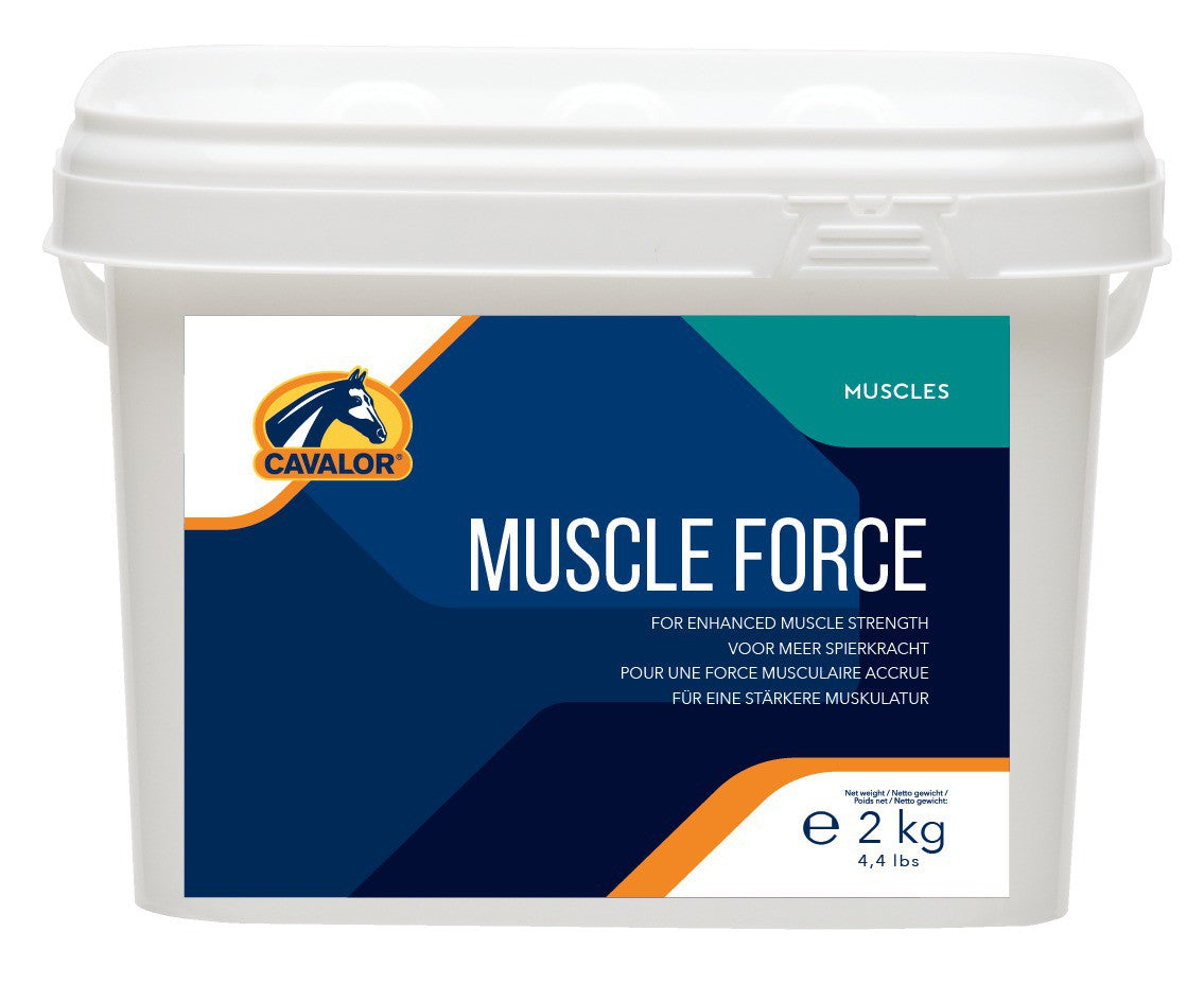 מאסל פורס - Muscle Force