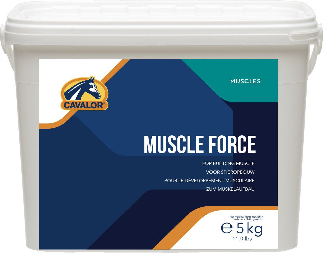 מאסל פורס - Muscle Force