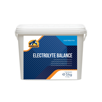 אלקטרולייט באלאנס - Electrolyte balance