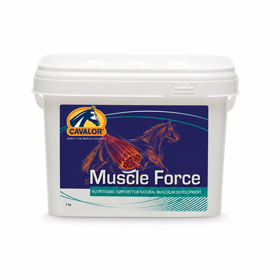 מאסל פורס - Muscle Force - תוסף לפיתוח מהיר של שרירים