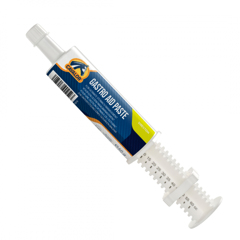 גסטרו אייד פייסט - Gastro aid  paste - לטיפול ולמניעת כיב קיבה (אולקוס)