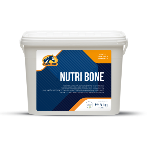 NUTRI BONE 5kg
לתמיכה מיטבית בהתפתחות השלד ומבנה העצם