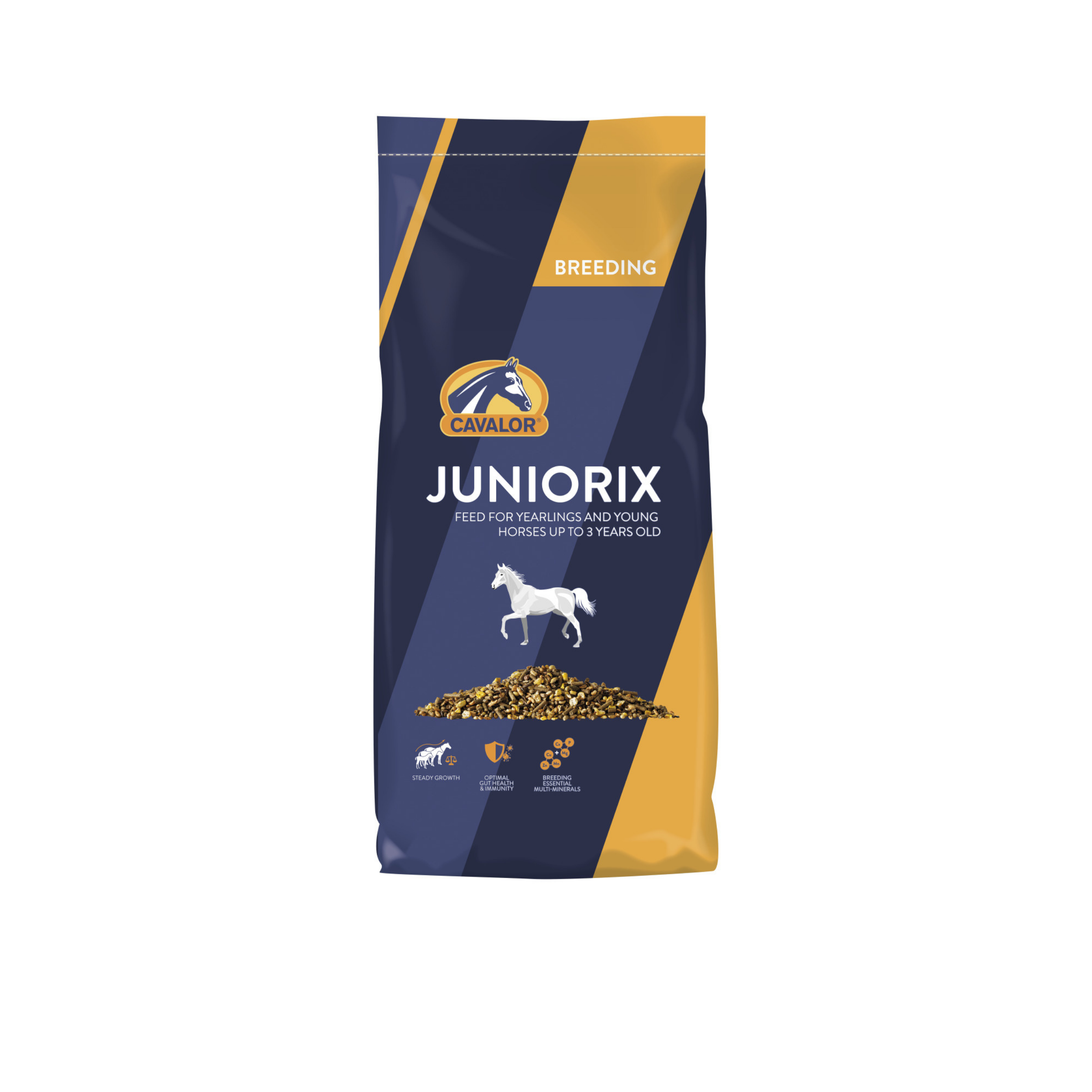 ג‘וניוריקס - Juniorix