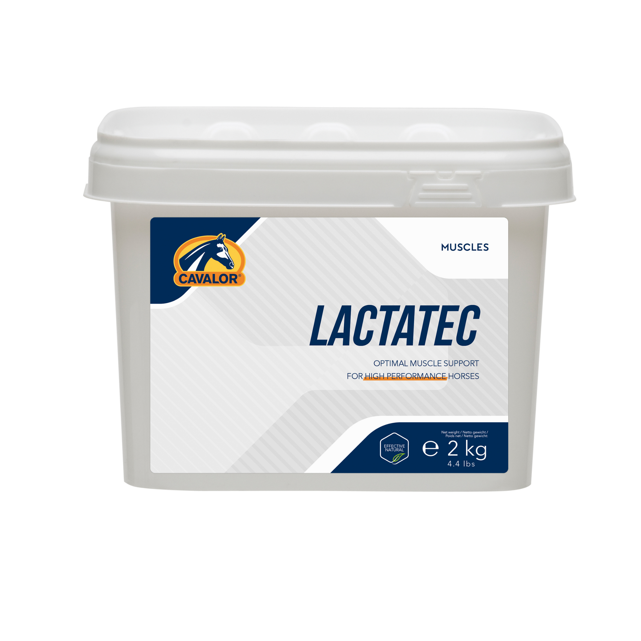 לקטאטק - Lactatec