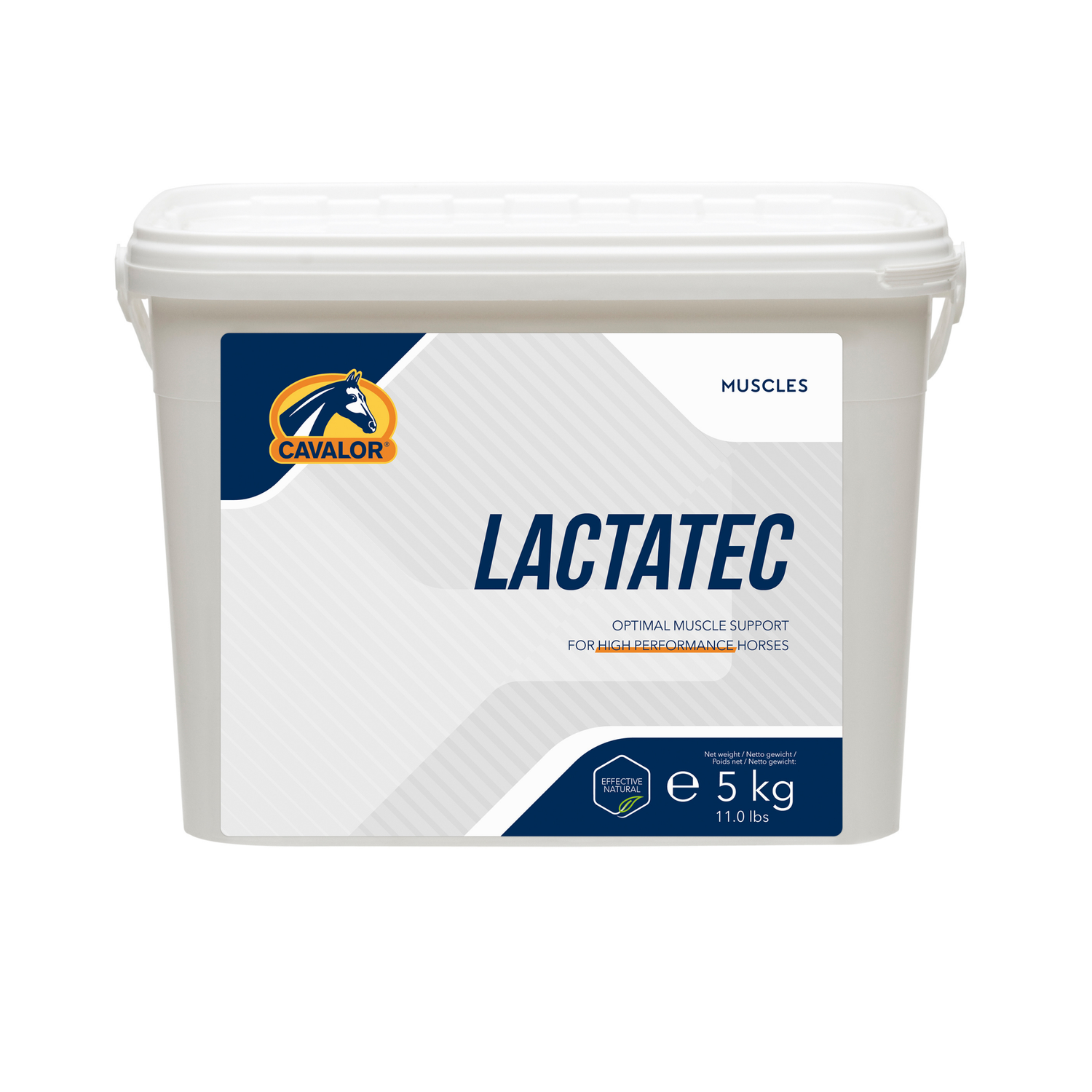 לקטאטק - Lactatec