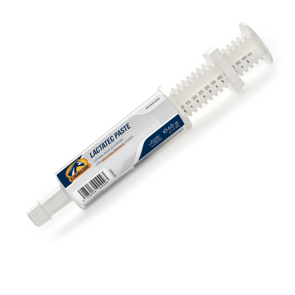 לקטאטק פייסט - paste Lactatec - מזרק לטיפול מהיר בבעיות שרירים