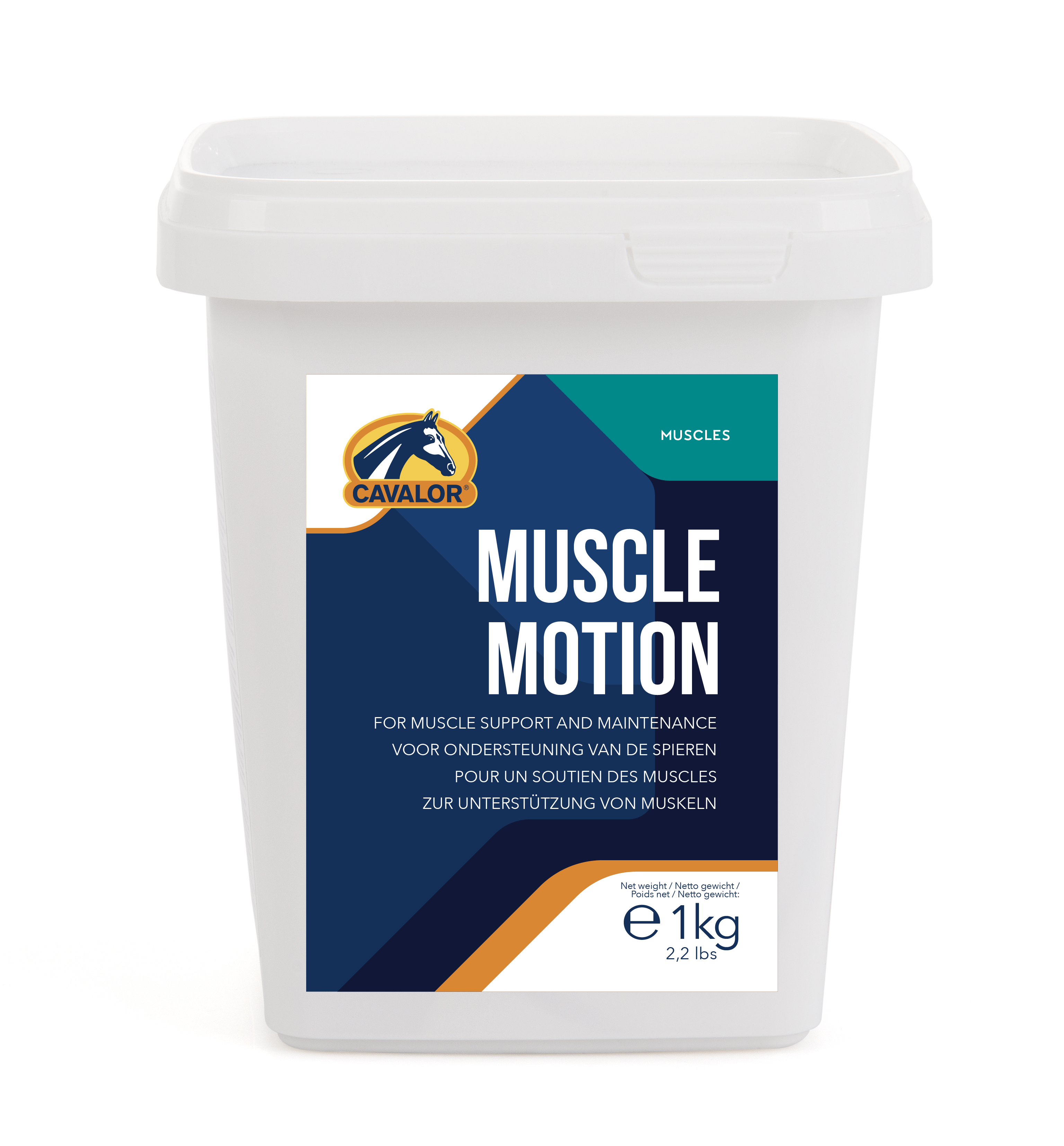 מאסל מושן - Muscle motion