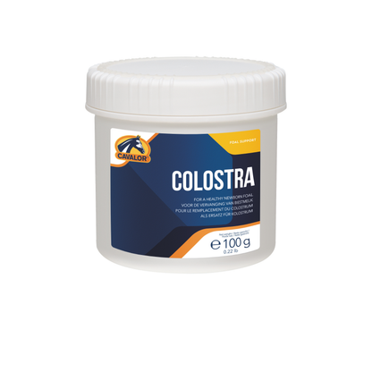 קולסטרה - Colostra